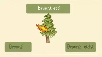 Vorschau - Interaktives Material - Interaktives Quiz - Feuer: Brennt es oder nicht? - Seite 3