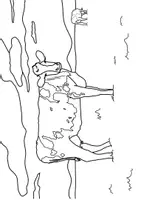 Vorschau - Mal- und Bastelvorlagen - Ausmalbilder - Bauernhoftiere - Seite 2