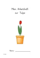 Vorschau - Arbeitsblätter - Die Tulpe - Seite 2
