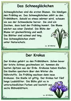 Vorschau - Stationenlernen - Texte Diktate Frühling Wissen Lesen Grundschule Klasse 2-4 Karteikarten - Seite 3