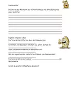 Vorschau - Stundenentwürfe - Lebenszyklus Kartoffel Grafiken Aufgaben Lösungen - Seite 3