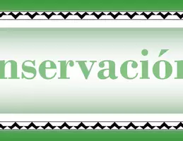 Vista previa - Decoración del aula - La conservación del ambiente Pancarta 1.50 cm de largo - página 3