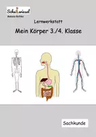 Vorschau - Arbeitsblätter - Körper Werkstatt 3./4. Klasse (pdf + editierbare Version) - Deckblatt
