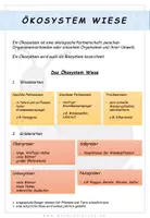 Vorschau - Arbeitsblätter - Biologie: Ökosystem Wiese - Seite 1