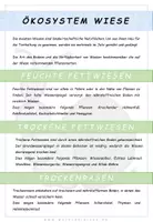 Vorschau - Arbeitsblätter - Biologie: Ökosystem Wiese - Seite 3