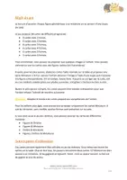 Aperçu - Apprentissages en autonomie - Jeu de la loupe - Formes et Couleurs - Page 2