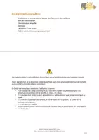 Aperçu - Apprentissages en autonomie - Jeu de la loupe - Formes et Couleurs - Page 3
