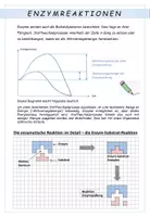 Vorschau - Stundenentwürfe - Biologie: Enzymhemmung - Unterrichtsentwurf - Seite 1