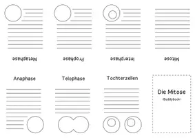 Vorschau - Arbeitsblätter - Buddybook Mitose - Seite 3