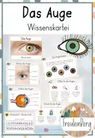 Vorschau - Bildkarten - Das Auge - Der Sehsinn - Wissenskartei - Deckblatt