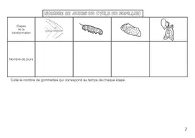 Aperçu - Apprentissages en autonomie - Lapbook pour connaître le papillon - Page 2