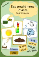 Vorschau - Arbeitsblätter - Materialpaket - Pflanzentagebuch + Begleitmaterial "Das braucht meine Pflanze" - Seite 1