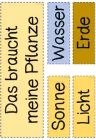 Vorschau - Arbeitsblätter - Materialpaket - Pflanzentagebuch + Begleitmaterial "Das braucht meine Pflanze" - Seite 3