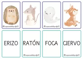 Vista previa - Juegos / Gamificación - Juego de cartas parejas de animales - página 3