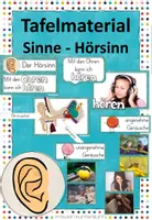 Vorschau - Poster - Tafelmaterial Sinne - Hörsinn - Das Ohr - Deckblatt