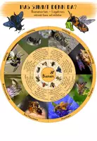 Vorschau - Poster - Wildbienen - Legekreis - Deckblatt