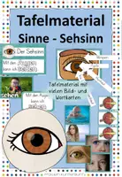Vorschau - Arbeitsblätter - Materialpaket Sinne - Sehsinn - Das Auge - Seite 1