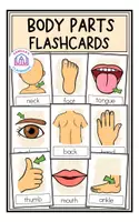 Vorschau - Bildkarten - Body Parts - Picture & Word Cards - Deckblatt