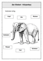 Vorschau - Arbeitsblätter - Der Elefant - Körperbau (1. und 2. Klasse) - Seite 2