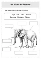 Vorschau - Arbeitsblätter - Der Elefant - Körperbau (1. und 2. Klasse) - Seite 3