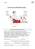 Vorschau - Stundenentwürfe - Infektionskrankheit Malaria Text Grafiken Aufgaben Lösung - Seite 2