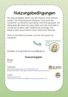 Vorschau - Stationenlernen - Wissenskartei Infokarten Jahreszeiten - Seite 1