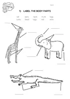 Vorschau - Arbeitsblätter - Zoo Animals- Label the BODY PARTS Worksheet and Quiz - Seite 1