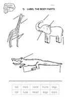 Vista previa - Hojas de trabajo - Zoo Animals- Label the BODY PARTS Worksheet and Quiz - página 2