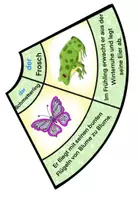 Vorschau - Arbeitsblätter - Legekreis "der Frühling" plus AB fürs Heft - DaZ / Deutsch / Sachunterricht - Seite 3