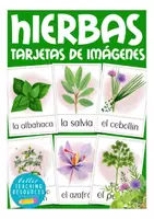 Aperçu - Présentation / Support pour le tableau - hierbas / la comida flash cards Espagnol - Page de couverture