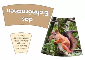 Vorschau - Spiele - Rätsel-Legekreis "Tiere des Waldes" #Silvesterknaller23 - Seite 1