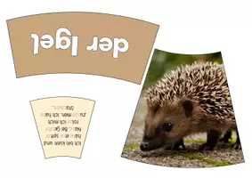 Vorschau - Spiele - Rätsel-Legekreis "Tiere des Waldes" #Silvesterknaller23 - Seite 2