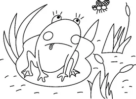 Aperçu - Matériel pour travaux manuels / dessin - Coloriages Grenouille - Page 1