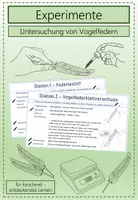 Vorschau - Experimente - Experimentelle Untersuchung von Federn - Deckblatt