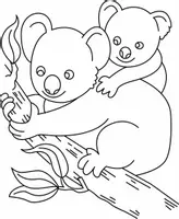 Aperçu - Matériel pour travaux manuels / dessin - Coloriages Koala - Page 1