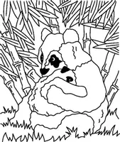 Aperçu - Matériel pour travaux manuels / dessin - Coloriages Panda - Page de couverture