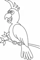 Aperçu - Matériel pour travaux manuels / dessin - Coloriages Perroquet - Page de couverture