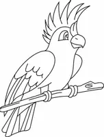 Aperçu - Matériel pour travaux manuels / dessin - Coloriages Perruche - Page de couverture
