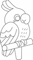 Aperçu - Matériel pour travaux manuels / dessin - Coloriages Perruche - Page 1