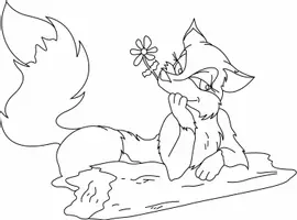 Aperçu - Matériel pour travaux manuels / dessin - Coloriages Renard - Page de couverture