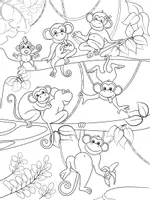 Aperçu - Matériel pour travaux manuels / dessin - Coloriages Singe - Page de couverture