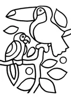 Aperçu - Matériel pour travaux manuels / dessin - Coloriages toucan - Page de couverture
