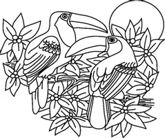 Aperçu - Matériel pour travaux manuels / dessin - Coloriages toucan - Page 3