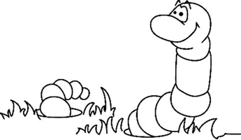Aperçu - Matériel pour travaux manuels / dessin - Coloriages Ver de terre - Page 1