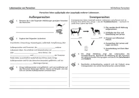 Vorschau - Arbeitsblätter - Lebensweise von Parasiten - Arbeitsblatt - Seite 1