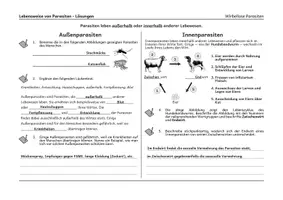 Vorschau - Arbeitsblätter - Lebensweise von Parasiten - Arbeitsblatt - Seite 2