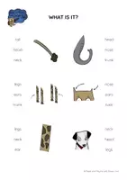 Vista previa - Unidades / Secuencias / Situaciones de Aprendizaje - Zoo Animals - BODY PARTS Peg Cards - página 1