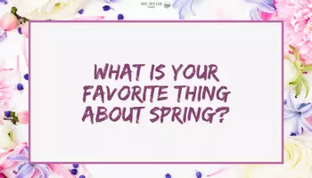 Vorschau - Spiele - Spring: Conversation Cards - Spring Edition (Advanced Version) - Seite 2