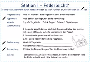 Vorschau - Experimente - Experimentelle Untersuchung von Federn - Seite 1