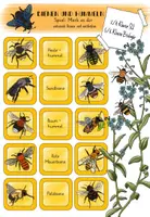 Vorschau - Spiele - Bienen und Hummeln - Merk es dir Spiel - Deckblatt